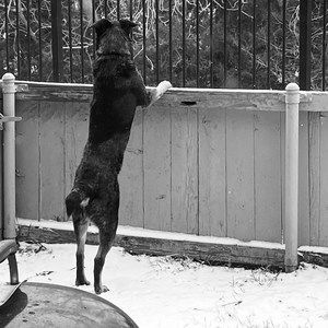 Meet your Posher, Roger